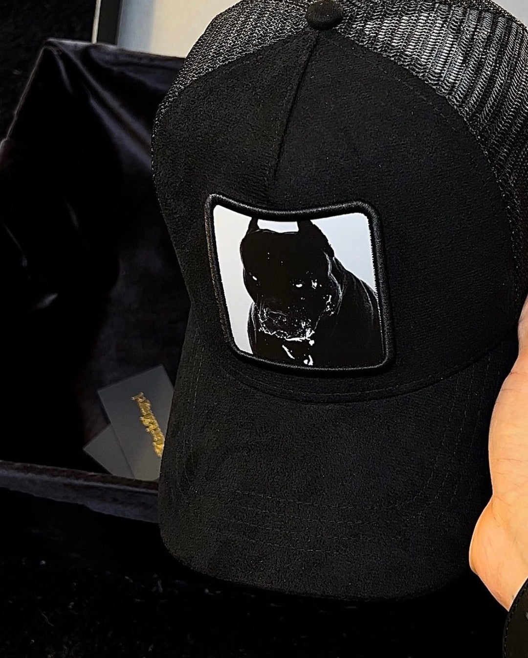 Fuerza - Pitbull™ | Edición Terciopelo Black
